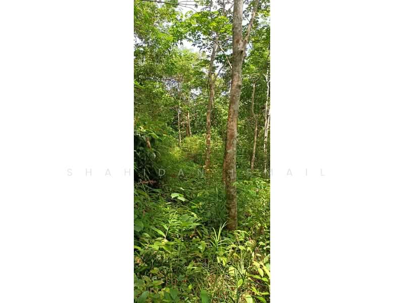 KG JERJAK,ULU JEMPOL untuk Untuk Dijual - RM 200,000, Mac 2026 - Exterior - PropertyGuru.com.my