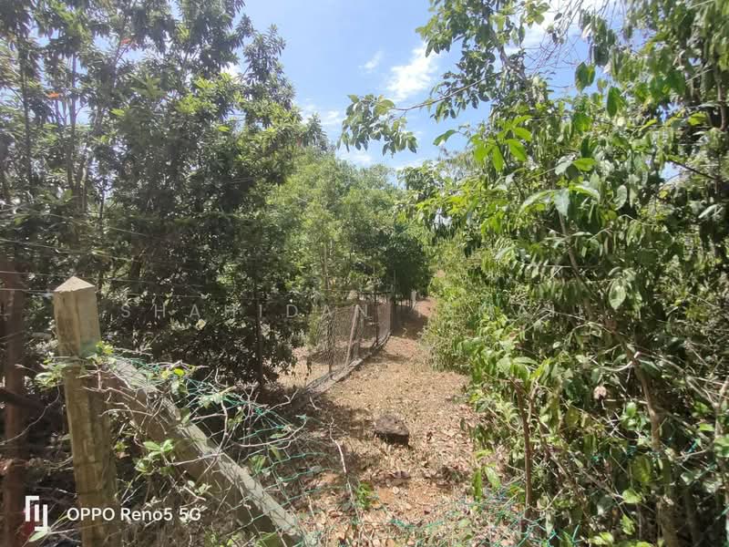 Ayer Paabas untuk Untuk Dijual - RM 150,000, Feb 2026 - PropertyGuru.com.my