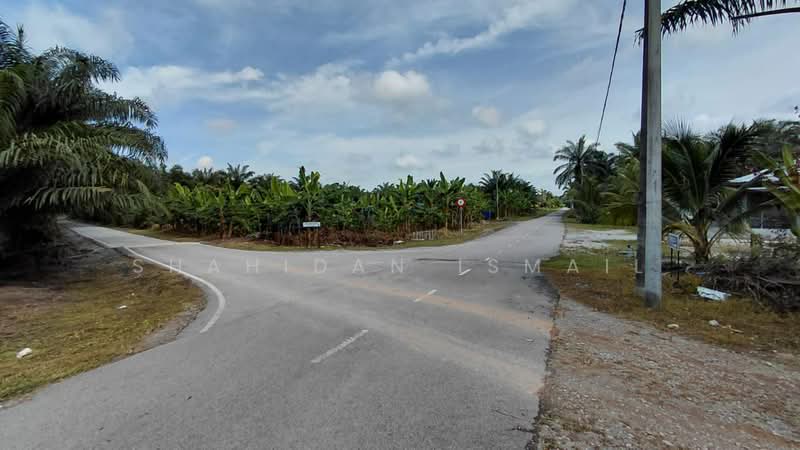 Agricultural Land for Sale in Kampung Seri Cheeding (Tanjong Duabelas) - Shahidan Ismail - Exterior - PropertyGuru.com.my