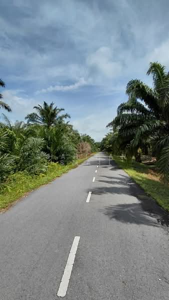 Agricultural Land for Sale in Kampung Seri Cheeding (Tanjong Duabelas) - Shahidan Ismail - PropertyGuru.com.my