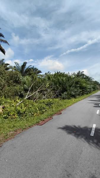 Agricultural Land for Sale in Kampung Seri Cheeding (Tanjong Duabelas) - Shahidan Ismail - Exterior - PropertyGuru.com.my