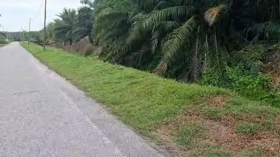 Agricultural Land for Sale in Kampung Bagan Lalang (Sepang) - Muhammed Nazri bin Mustapha - PropertyGuru.com.my