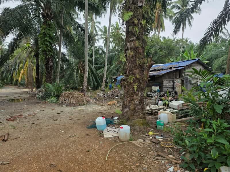 Agricultural Land for Sale in Kampung Bagan Lalang (Sepang) - Muhammed Nazri bin Mustapha - Exterior - PropertyGuru.com.my