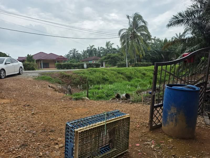 Agricultural Land for Sale in Kampung Bagan Lalang (Sepang) - Muhammed Nazri bin Mustapha - Exterior - PropertyGuru.com.my