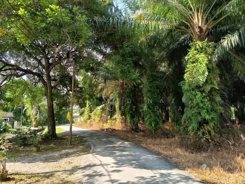 Agricultural Land for Sale in Labu (Negeri Sembilan) - Muhammed Nazri bin Mustapha - Exterior - PropertyGuru.com.my