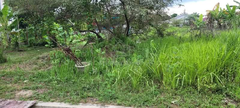 For Sale - Kampung Jalan Kebun