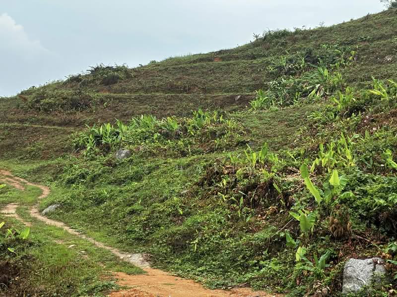 Freehold Kuala Kubu Bharu Land Golf View! untuk Untuk Dijual - RM 7,500,000, Mac 2026 - PropertyGuru.com.my