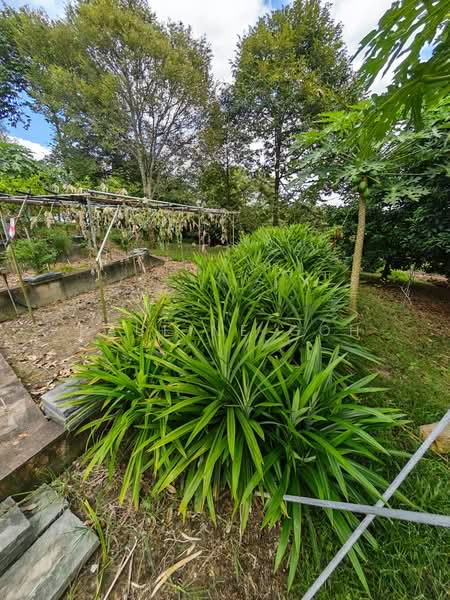 Residential Land for Sale in Leisure Farm (Gelang Patah) - Pauline Goh - Garden - PropertyGuru.com.my