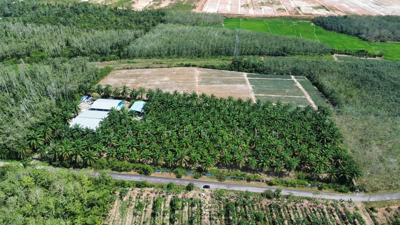 Napoh, Jitra Kedah untuk Untuk Dijual - RM 4,000,000, Mac 2026 - Exterior - PropertyGuru.com.my