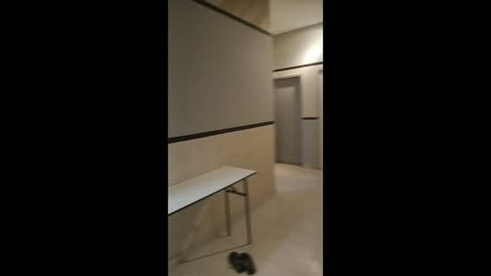 TR Residence untuk Untuk Disewa - RM 850 /bulan, Feb 2026 - PropertyGuru.com.my