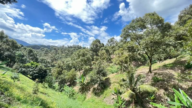 Agricultural Land for Sale in Raub (Pahang) - Toh HC - PropertyGuru.com.my