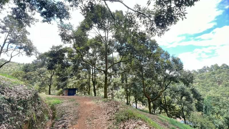 Agricultural Land for Sale in Raub (Pahang) - Toh HC - Exterior - PropertyGuru.com.my