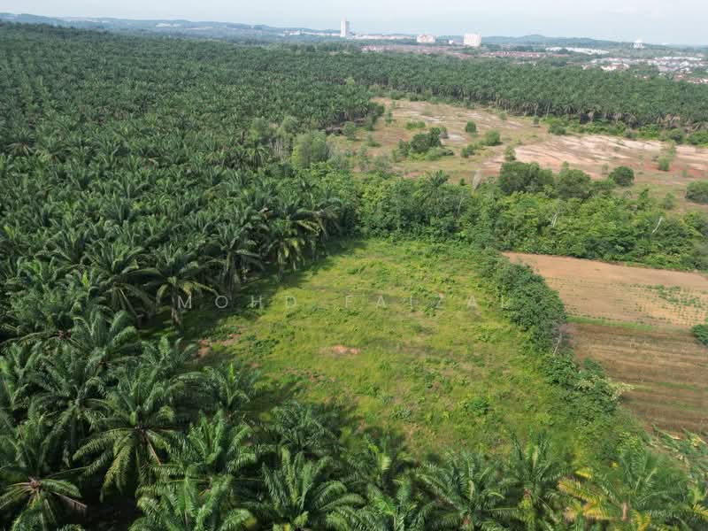 Agricultural Land for Sale in Labu (Negeri Sembilan) - Mohd Faizal - Exterior - PropertyGuru.com.my