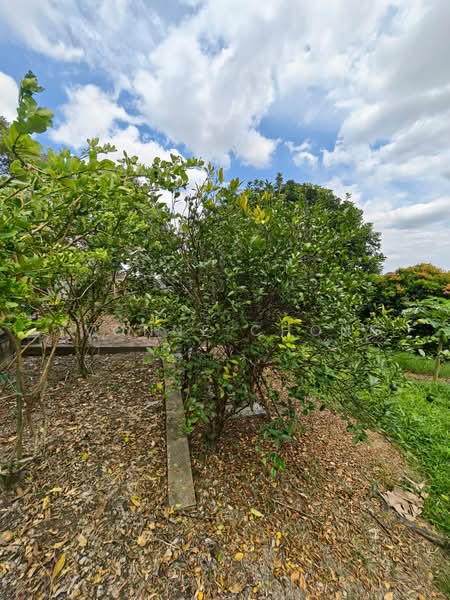 Residential Land for Sale in Leisure Farm (Gelang Patah) - Yvonne Chong - PropertyGuru.com.my