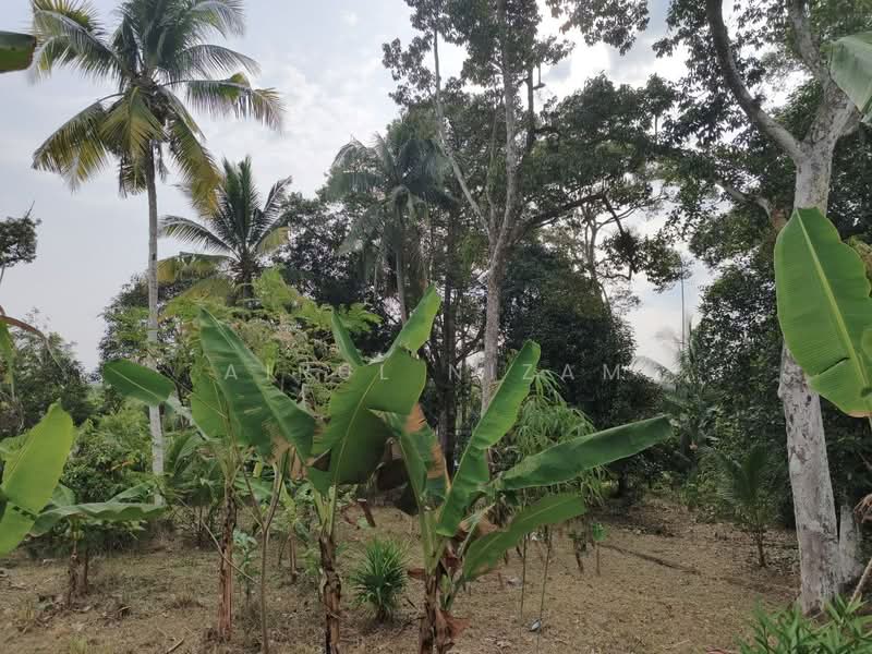 Residential Land for Sale in Machap (Kluang) - AIRUL NIZAM - Exterior - PropertyGuru.com.my