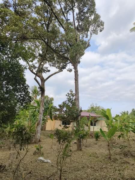 Residential Land for Sale in Machap (Kluang) - AIRUL NIZAM - Exterior - PropertyGuru.com.my