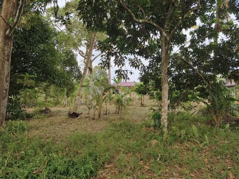Residential Land for Sale in Machap (Kluang) - AIRUL NIZAM - Exterior - PropertyGuru.com.my