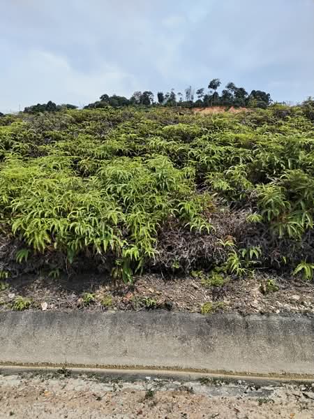 Commercial Land for Sale in Sungai Buloh (Selangor) - Mike Yap - Exterior - PropertyGuru.com.my