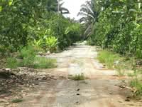 For Sale - Heavy Industry Banting Olak Lempit