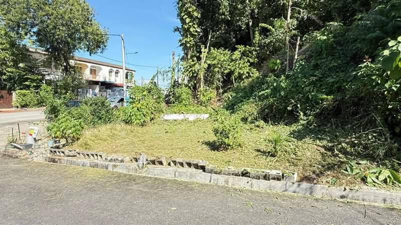 Island Park untuk Untuk Dijual - RM 1,888,000, Mac 2026 - PropertyGuru.com.my