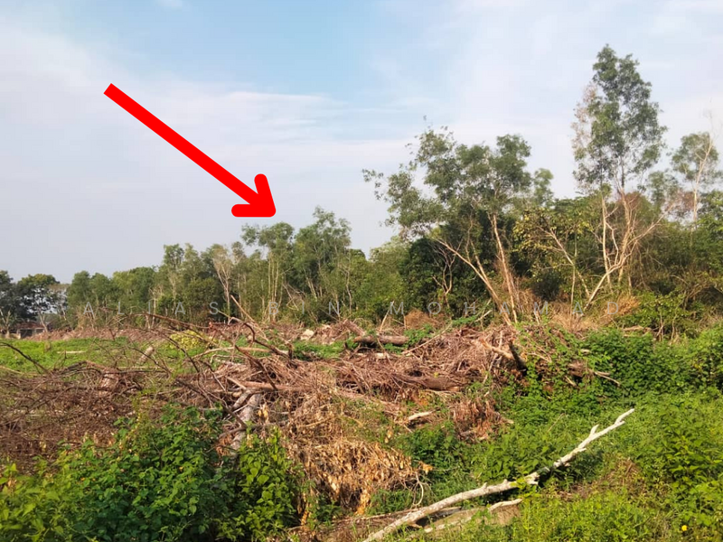 Residential Land for Sale in Kampung Tok Jembal (Kuala Nerus) - Alias Bin Mohamad - Exterior - PropertyGuru.com.my