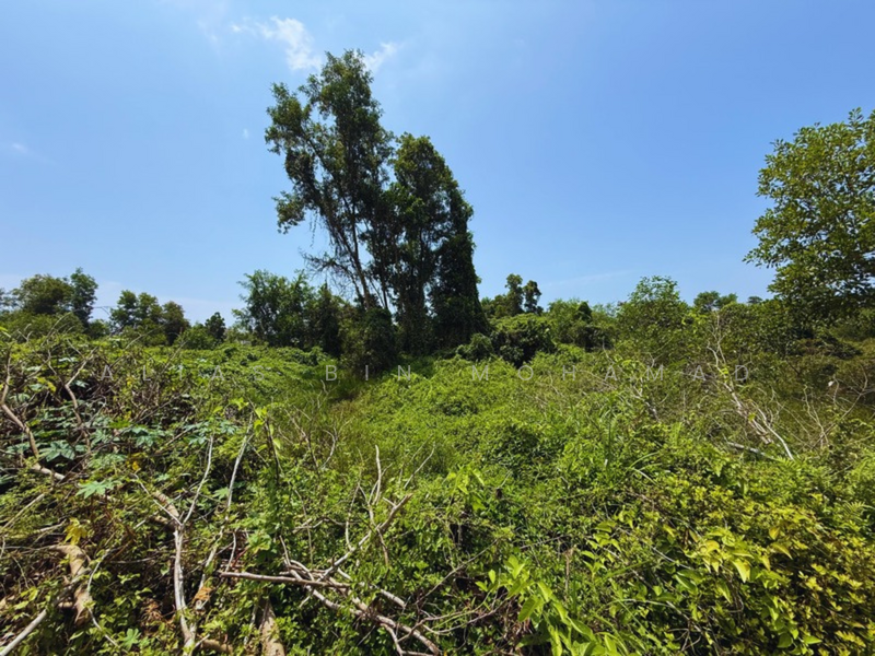 Residential Land for Sale in Kaw Perindustrian Gong Badak (Kuala Nerus) - Alias Bin Mohamad - Garden - PropertyGuru.com.my