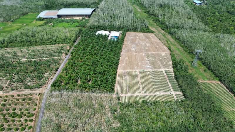 Agricultural Land for Sale in Jitra (Kedah) - Alex Nai - Exterior - PropertyGuru.com.my