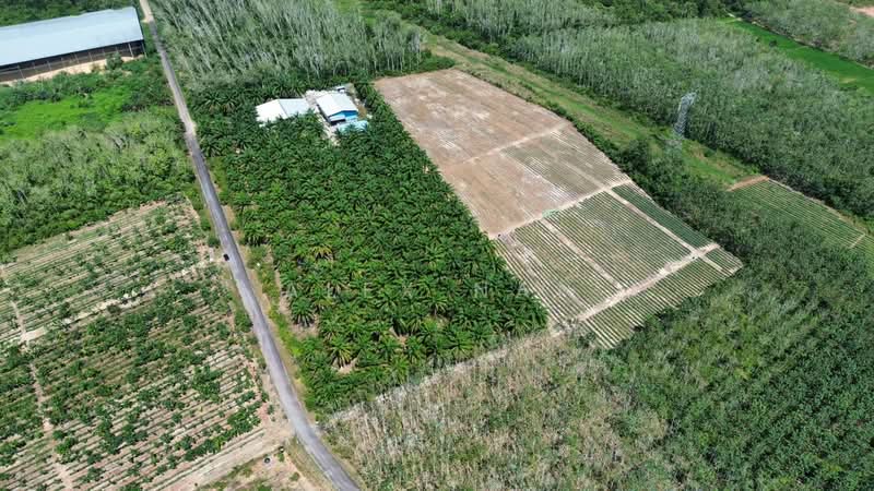 Agricultural Land for Sale in Jitra (Kedah) - Alex Nai - Exterior - PropertyGuru.com.my