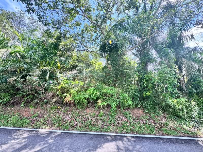 Pengerang 7.9 Acres Land untuk Untuk Dijual - RM 1,600,000, Apr 2026 - PropertyGuru.com.my