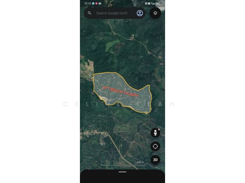 Agricultural Land for Sale in Kota Marudu (Sabah) - Celine Teah - PropertyGuru.com.my