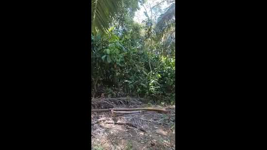 Agricultural Land for Sale in Slim River (Perak) - Winnie Tjeng - PropertyGuru.com.my