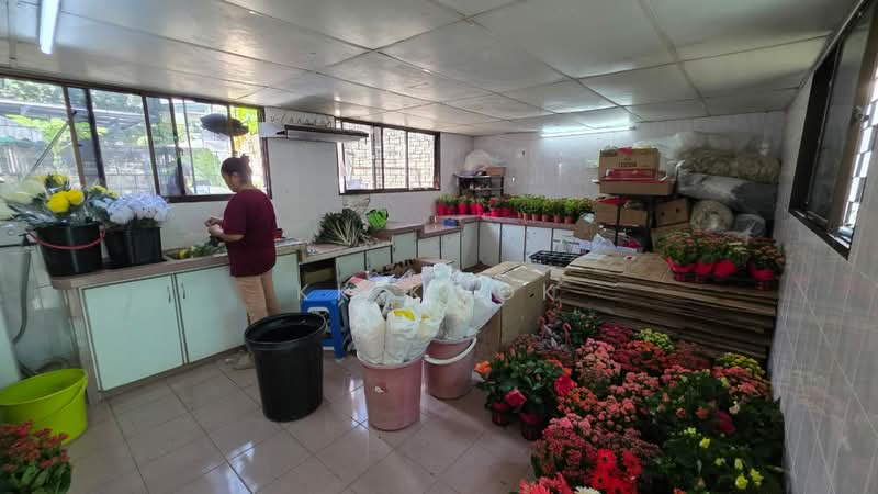 For Sale - Pulau Tikus Double-Storey Semi Detached House.