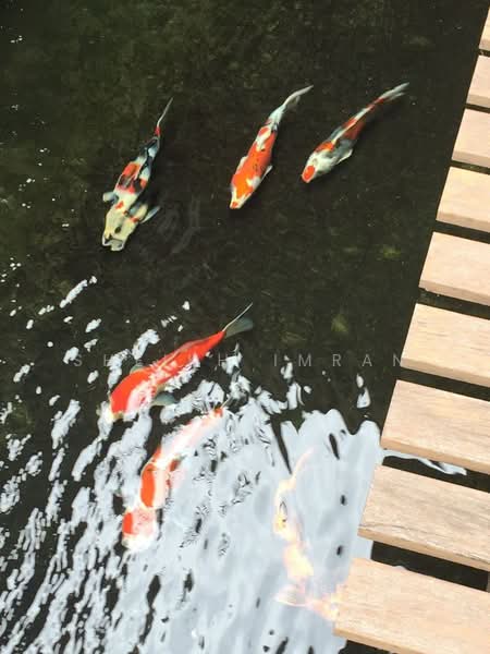 Semi-Detached House for Sale in Bukit Jelutong (Shah Alam) - Sheikh Imran - Garden - PropertyGuru.com.my