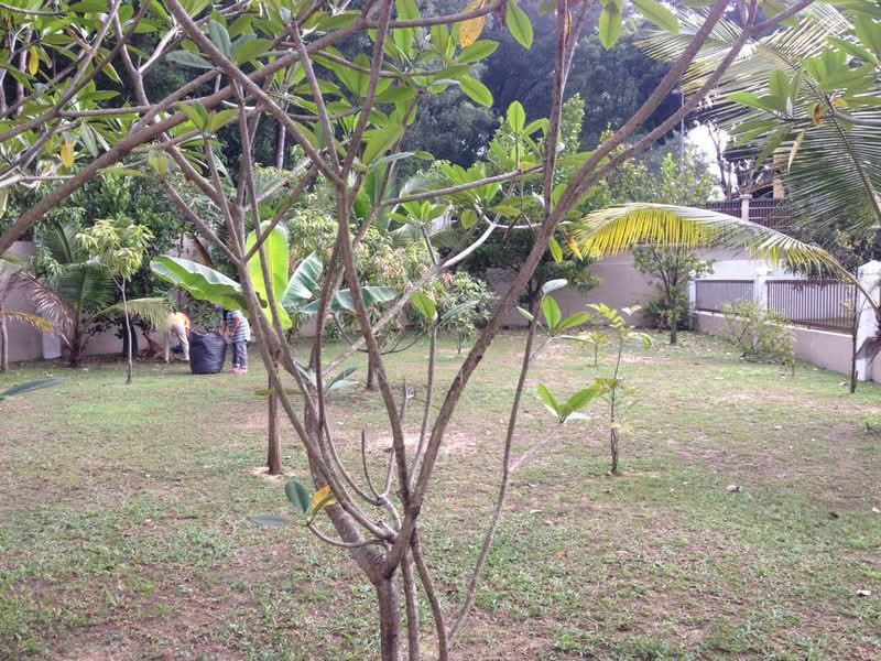 Bungalow for Rent in Mutiara Damansara (Selangor) - Jin Hao - PropertyGuru.com.my