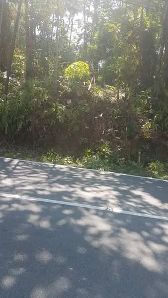 Residential Land for Sale in Sungai Merab (Dengkil) - Aswad . - Exterior - PropertyGuru.com.my