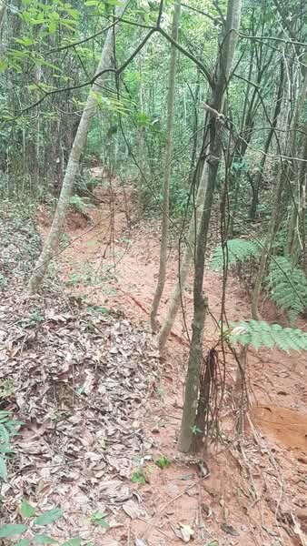 Residential Land for Sale in Sungai Merab (Dengkil) - Aswad . - Exterior - PropertyGuru.com.my