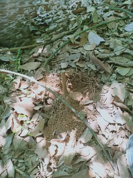 Residential Land for Sale in Sungai Merab (Dengkil) - Aswad . - PropertyGuru.com.my