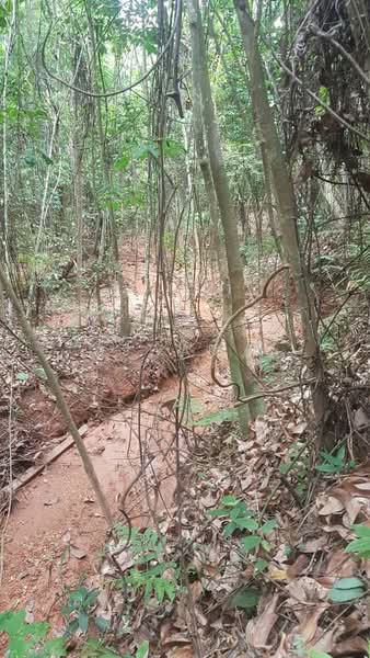 Residential Land for Sale in Sungai Merab (Dengkil) - Aswad . - Exterior - PropertyGuru.com.my