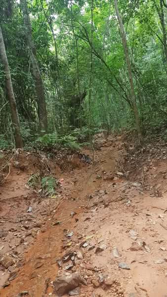 Residential Land for Sale in Sungai Merab (Dengkil) - Aswad . - Exterior - PropertyGuru.com.my