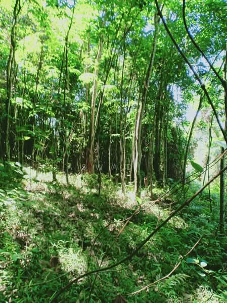 Residential Land for Sale in Sungai Merab (Dengkil) - Aswad . - Garden - PropertyGuru.com.my