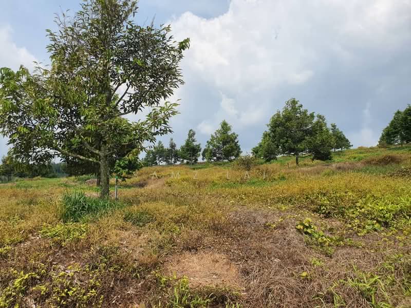 Jasin untuk Untuk Dijual - RM 72,000,000, Feb 2026 - Exterior - PropertyGuru.com.my