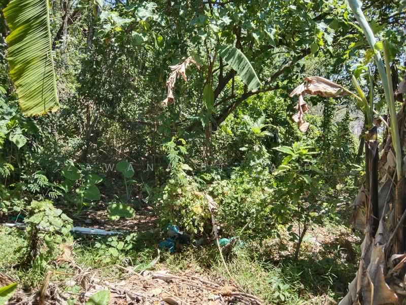 Residential Land for Sale in Taman Melawati (Ulu Kelang) - Zawana BT Zaidi Ana - Garden - PropertyGuru.com.my