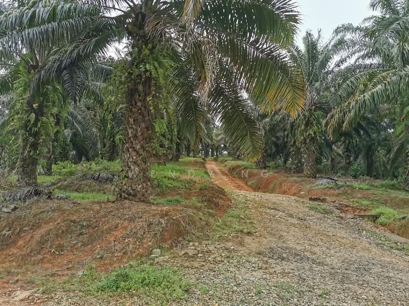 Ampang Pecah, Ulu Selangor【 107 Acres with Stream , 地里水源与小溪 】 untuk Untuk Dijual - RM 16,064,700, Mac 2026 - Exterior - PropertyGuru.com.my