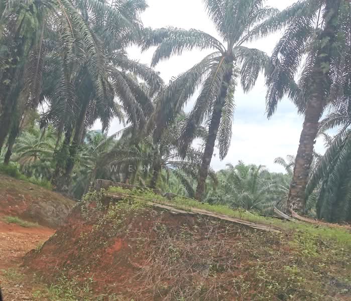 Ampang Pecah, Ulu Selangor【 107 Acres with Stream , 地里水源与小溪 】 untuk Untuk Dijual - RM 16,064,700, Mac 2026 - Exterior - PropertyGuru.com.my