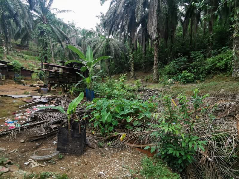 Ampang Pecah, Ulu Selangor【 107 Acres with Stream , 地里水源与小溪 】 untuk Untuk Dijual - RM 16,064,700, Mac 2026 - Exterior - PropertyGuru.com.my