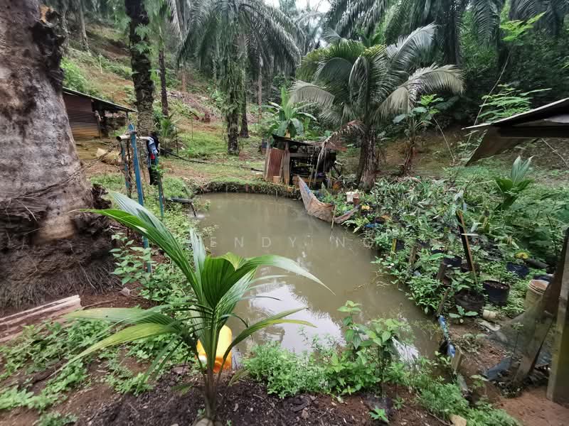 Tanah Pertanian untuk Dijual di Taman Ampang Pecah (Kuala Kubu Bharu) - Wendy Ng - Exterior - PropertyGuru.com.my