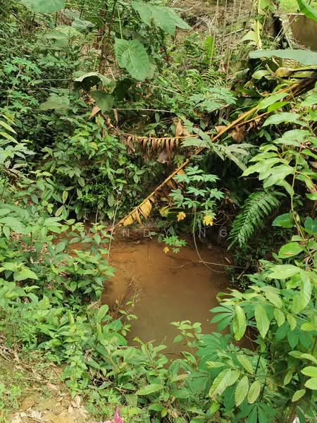 Tanah Pertanian untuk Dijual di Taman Ampang Pecah (Kuala Kubu Bharu) - Wendy Ng - Garden - PropertyGuru.com.my