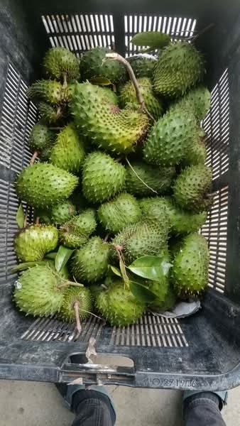 Untuk Disewa - Commercial Double-Storey Space for Rent – Len Seng, Cheras