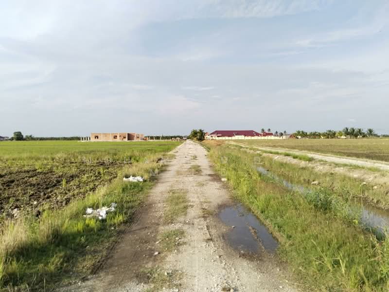 Agricultural Land for Sale in Tanjung Karang (Selangor) - Mohammad Din Majid - Exterior - PropertyGuru.com.my