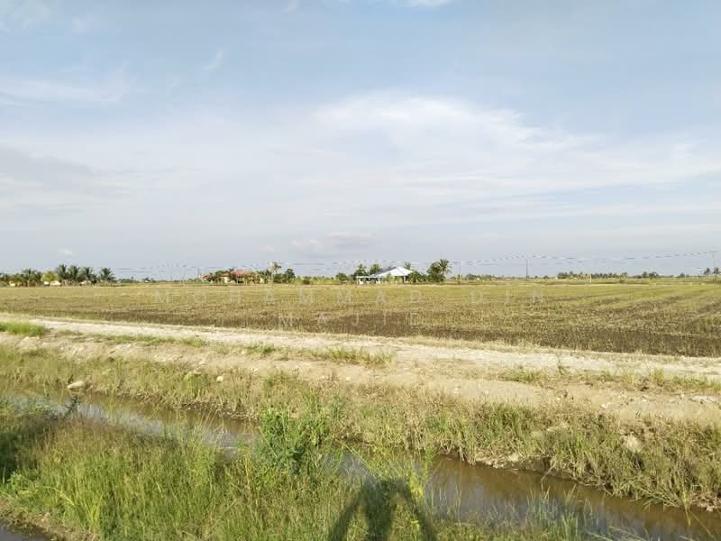 Agricultural Land for Sale in Tanjung Karang (Selangor) - Mohammad Din Majid - PropertyGuru.com.my
